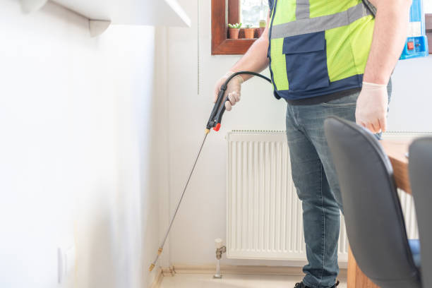 Trusted Mineralwells, WV Pest Control Experts